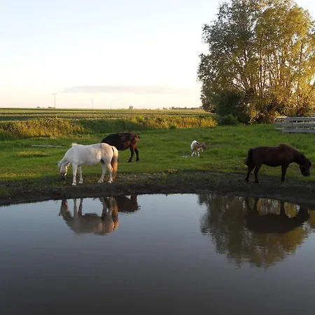 Horse Ranch By Interhome